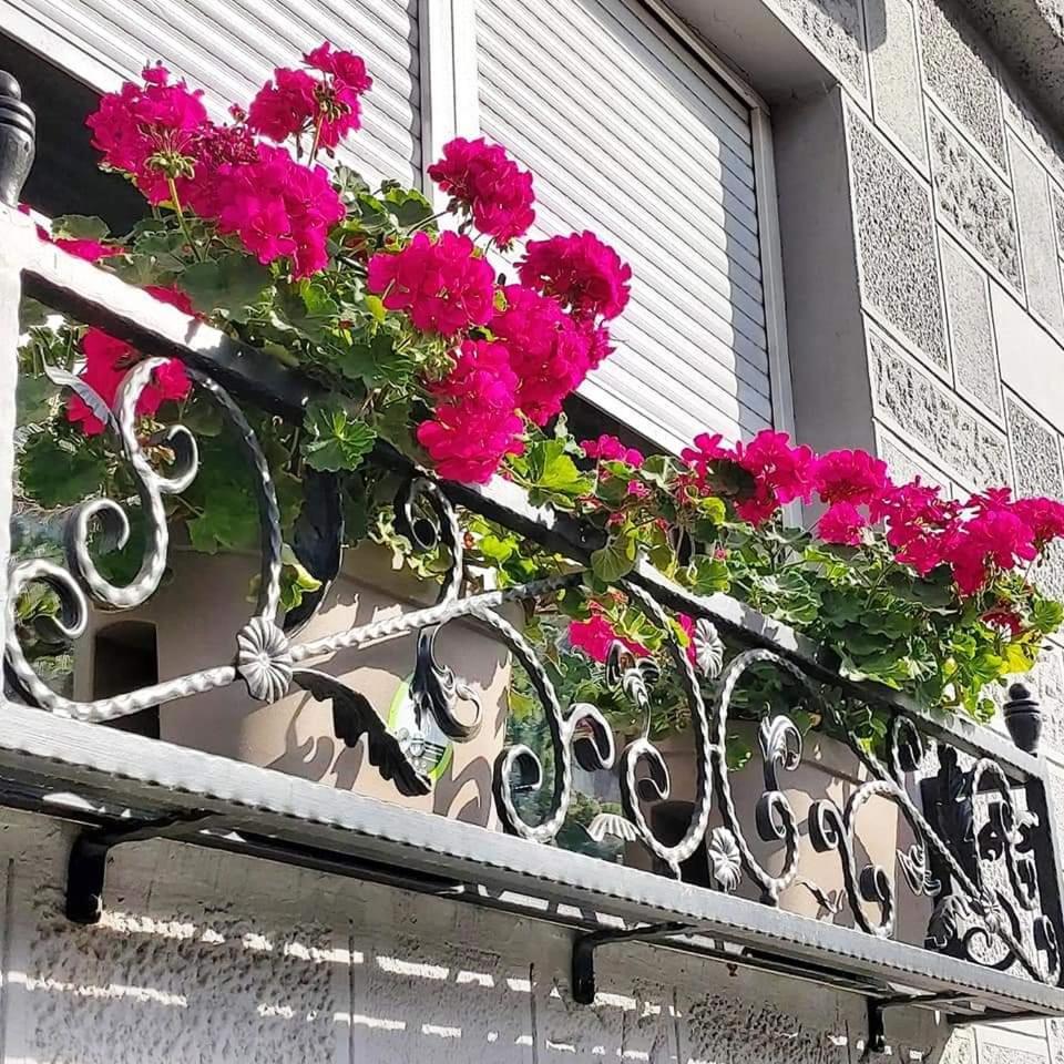 Hills Apartments Vrsac Dış mekan fotoğraf